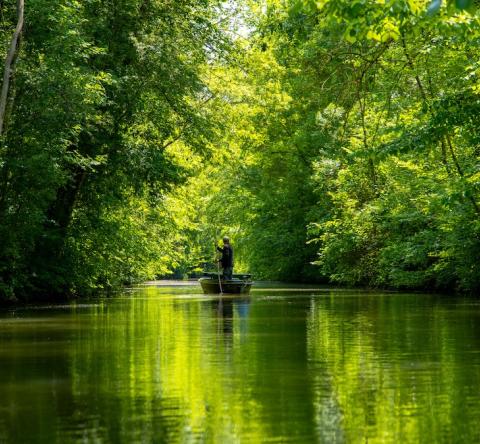5 destinations au vert pour la Toussaint