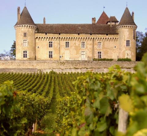 Les 5 plus beaux domaines viticoles en France