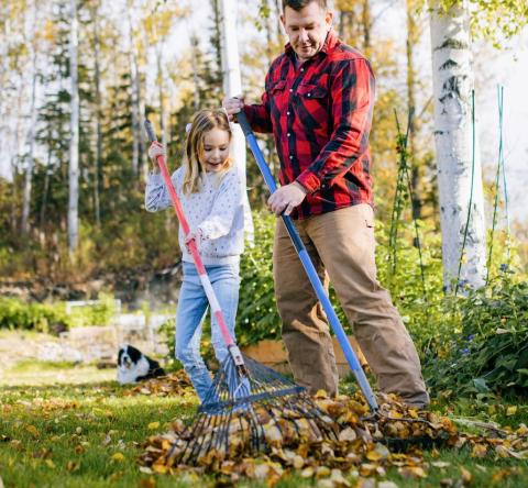 Un homme ratisse les feuilles mortes dans le jardin avec une petite fille