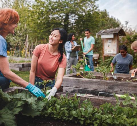 Comment obtenir une parcelle dans un jardin partagé ?