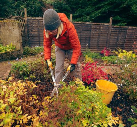 Que faire au jardin en octobre