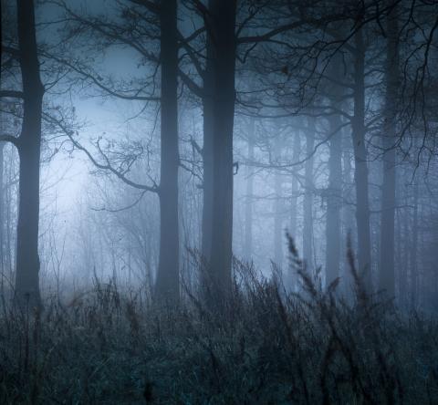 Lieux hantés en France à visiter pour Halloween