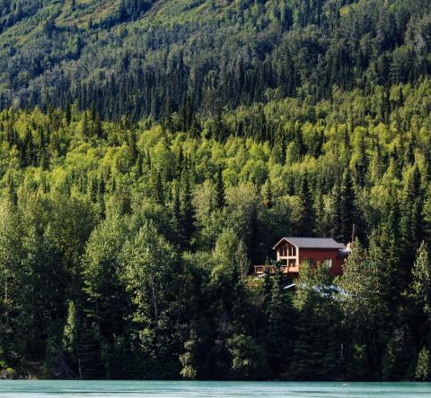 Acheter une maison près d’une forêt : les vérifications à faire avant de signer.