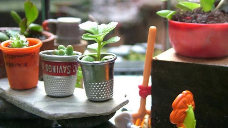 10 jardins miniatures que vous allez adorer
